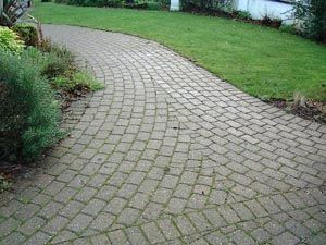 curved garden path