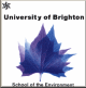 brighton uni